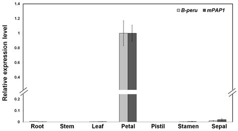 Enhancing Flower Color through Simultaneous Expression of the B-peru ...