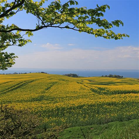 NATIONALPARK MOLS BJERGE (2025) All You Need to Know BEFORE You Go ...