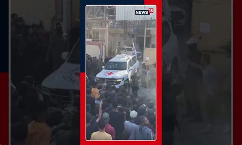 Red Cross Vehicles Carrying Released Hostages Have Departed From The ...