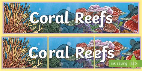 Coral Reefs Display Banner