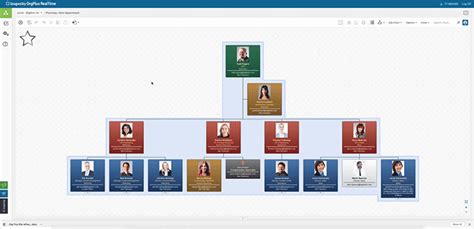 Image result for OrgPlus Org Chart