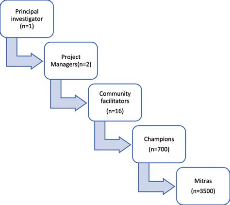 Image result for Implementation Team Structure