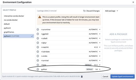 Image result for Python Environment Solver