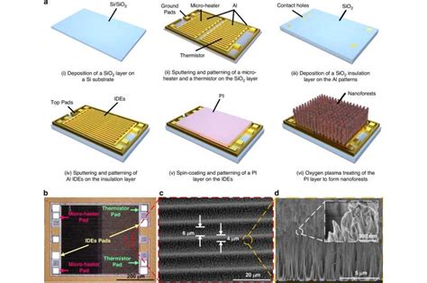 Image result for Humidity Sensor Respiratory