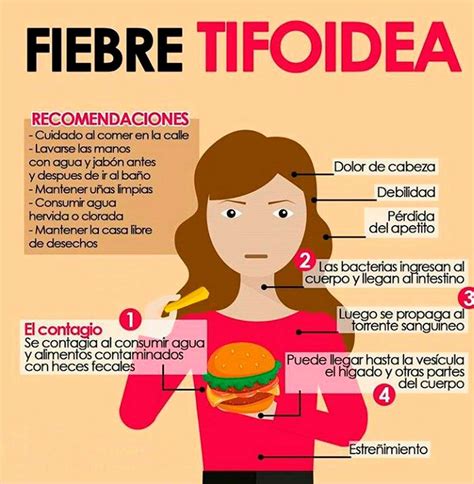 Exhortan a extremar medidas y mantener higiene en alimentos para ...