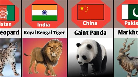 Image result for Animals On Button Moon