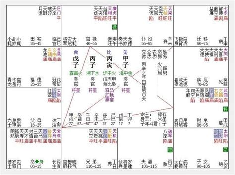 巨日同宮格 | 巨門 | 太陽| 格局14 篇 | 命宮 | 空宮 【科學看紫微】 - YouTube