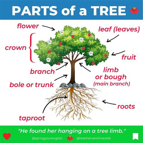 Image result for Tree Structure HTML/CSS