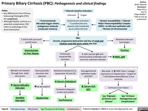 Primary Biliary Cirrhosis (PBC) | Calgary GuideCalgary Guide
