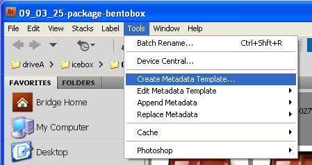 Metadata Template 的图像结果