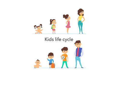 Image result for Python Life Cycle for Kids