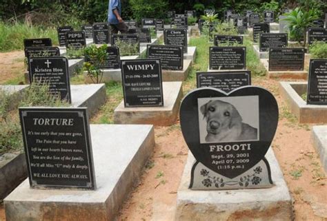 Pet Cemetery Near Me Cost - Hartsdale Is Home To The Oldest Pet ...