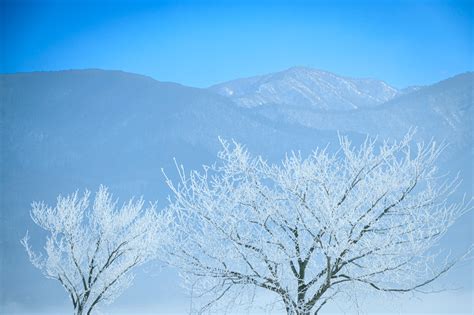 Image result for Stack Over Array
