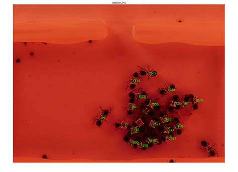 AR MATLAB 的图像结果