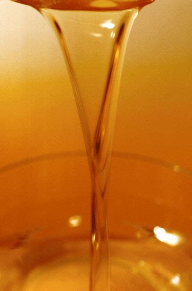 Vegetable Oil Imports Jump 30% in November | TopNews