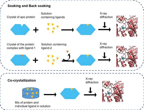 Image result for Video Encapsulation Methods Co-Crystallization