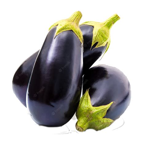 BLACK BEAUTY EGGPLANT - Jojemiagroshop