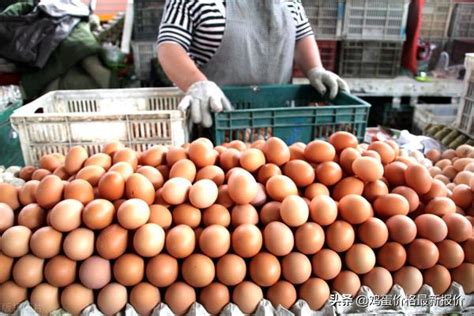 今日最新河北鸡蛋价格（2022年3月26日鸡蛋价格最新报价行情） - 科技田(www.kejitian.com)