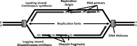 Image result for Bidirectional Replication Simulation