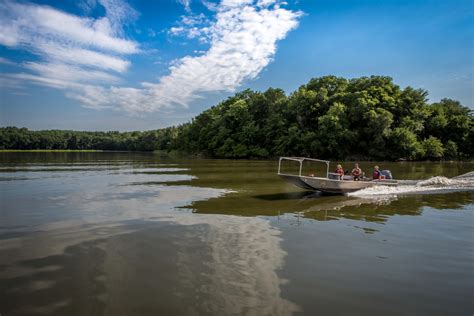 Fisheries biologist searching for invasive carp on the Illinois River ...