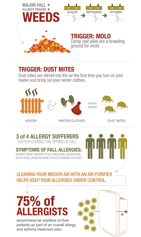 What Triggers Fall Allergies