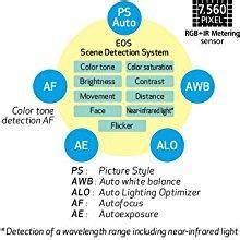 Buy Canon EOS 80D 24.2MP Digital SLR Camera (Black) + EF-S 18-55mm STM ...