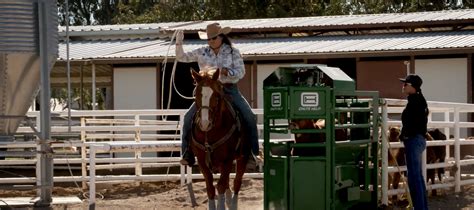 Breakaway Roping Lessons 的图像结果