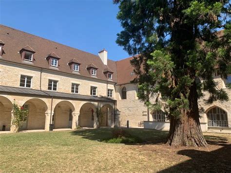 BED BUG INFESTATION!! - Review of Appart'hotel Odalys City Les ...