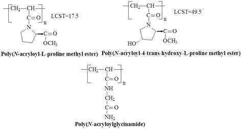 Molecular Design and Role of the Dynamic Hydrogen Bonds and Hydrophobic ...