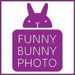 Image result for Funny Bunny Furry