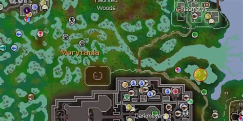 Complete 1-99 Hunter Guide for OSRS