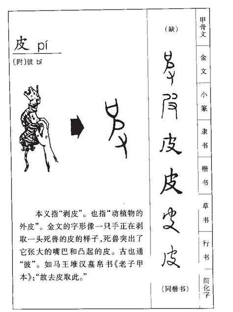 汉字窗的笔顺,字的笔顺,身字的笔顺(第3页)_大山谷图库