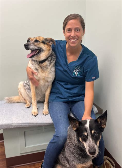 Annabessacook Veterinary Clinic