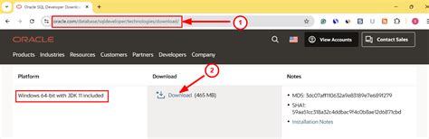 Image result for Oracle SQL Developer Download for Windows 11