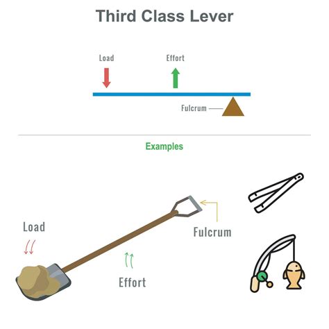 Third class lever with example vector illustration 23452897 Vector Art ...