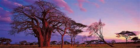 AARDVARK SAFARIS (2026) All You Need to Know BEFORE You Go (with Photos ...