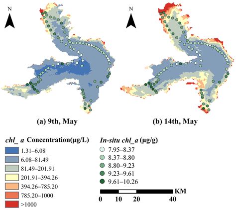 Enhancing Algal Bloom Level Monitoring with CYGNSS and Sentinel-3 Data