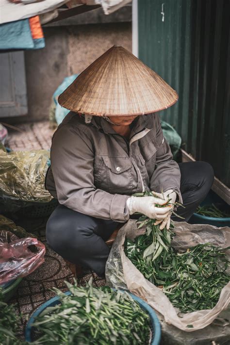 Local Images Download 的图像结果