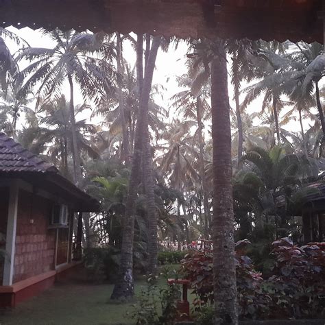 THE NATTIKA BEACH RESORT (Thrissur, Kerala) - Hotel Reviews & Photos ...