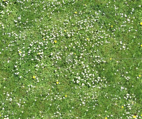 Flower Bed Texture Seamless