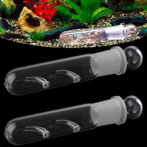Buy 2 Pack Clear Glass Planaria Trap Catch Trap Aquarium Cleaning ...