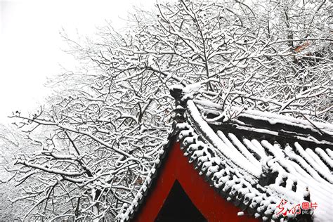 2020北京迎来首场雪 600年故宫成摄影打卡地 _光明网