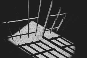 The Wire: The Wire News India, Latest News,News from India, Politics ...