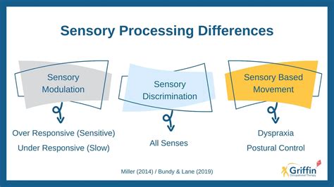 Sensory-Motor Processing Disorder 的图像结果
