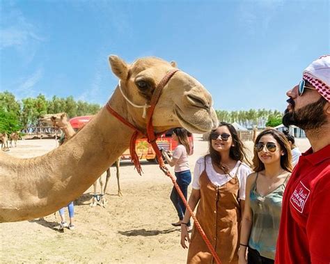 THE LOST PARADISE OF DILMUN WATER PARK (2025) All You Need to Know ...