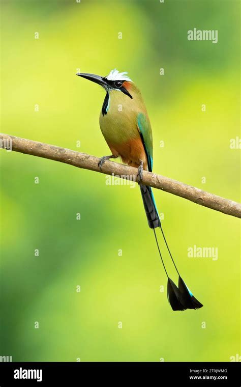 Image result for Java Design Paetterns