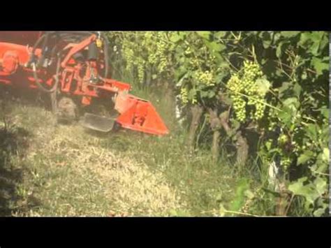 TAGLIAERBA interceppi automatico   YouTube