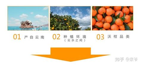 我省名特优新农产品第十五场现场推介会在韶关举办-广东省农业农村厅网站