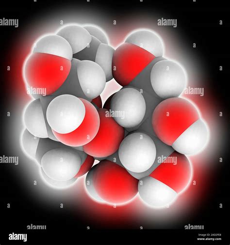 Sucrose. Molecular model of the organic compound sucrose (C12.H22.O11 ...
