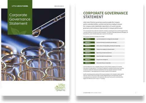 Corporate Governance Statement Example 的图像结果